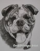 Charcoal Drawings - Frank - Charcoal